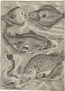 Studieblad se reunió de manera diferente Iconos vivos de peces (título de la serie) de Monogrammist P+P