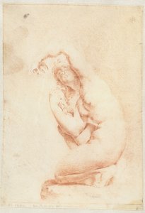 Niobides