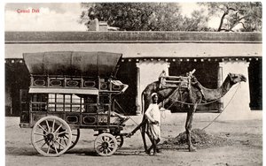 Camel Dak, c.1911-12 (foto sepia)