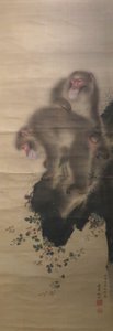Monos jugando con un cangrejo
