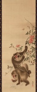 Monos y Rosas