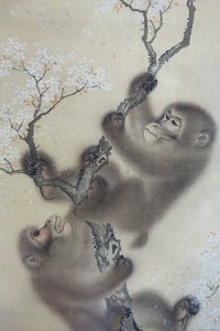 Monos en un cerezo en flor, 1 de 2, Mori Sosen, Japón, periodo Edo, principios de 1800, tinta y color sobre seda - Arthur M. Sackler Museum, Harvard University - DSC01127 de Mori Sosen