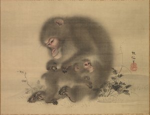 Monos, finales del siglo XVIII-principios del siglo XIX