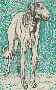 Galgo