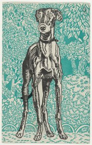 Galgo, 1912
