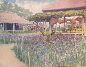 Un jardín de lirios