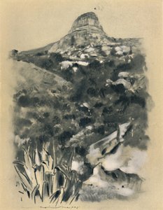 Bloemfontein, 1903