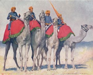 Camellería de Alwar