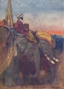 Elefantes de Jaipur