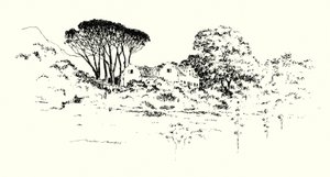 Granja de Cecil J Rhodes