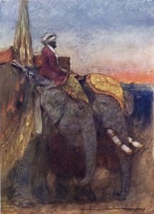 Elefantes de Jaipur