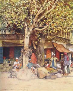 Mediodía, Delhi, 1905