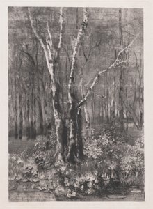 Bosques en el parque cerca de Monza de Mose Bianchi