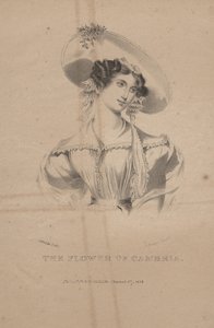 La flor de Cambria, litografía de C.G. Childs, 1830
