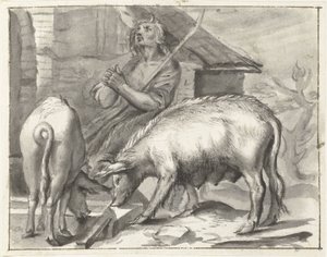 Corral con aves de corral