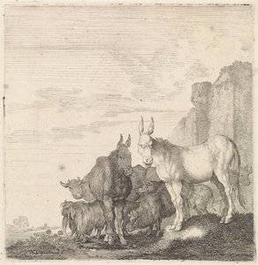 Burros por una pared Animales de cuatro patas (título de la serie) de Moyses van Wtenbrouck