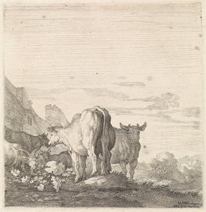 Vacas y cabras en un paisaje con casas. Animales de cuatro patas (título de la serie) de Moyses van Wtenbrouck