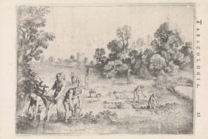Los nativos americanos recogen tabaco de Moyses van Wtenbrouck