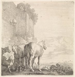 Dos caballos con cabras y una vaca en una pared alta (de la ciudad) Animales de cuatro patas (título de la serie) de Moyses van Wtenbrouck