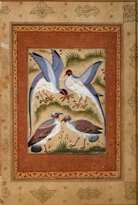 Aves. Miniatura en gouache de la escuela mogol. 1590-1600. París, Museo Guimet, Museo Nacional de Artes Asiáticas