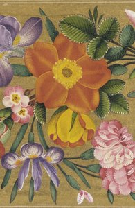 Página del Álbum de San Petersburgo, India, 1727 (color sobre fondo dorado) de Muhammad Sadiq