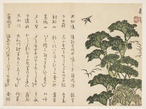 Árbol grande y pájaros, c.1830-44 de Murata Kagen