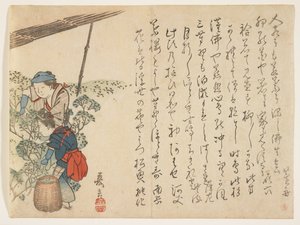 Recolectores de té, c.1830-44 de Murata Kagen