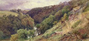 Un Valle en Devonshire de Myles Birket Foster