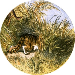 Ilustración para 