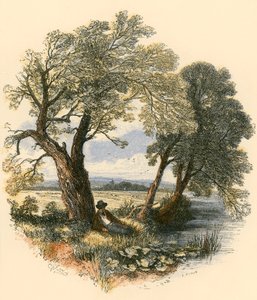 Paseos del sábado de Myles Birket Foster