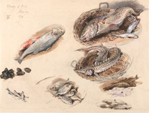 Estudio de peces, Venecia de Myles Birket Foster