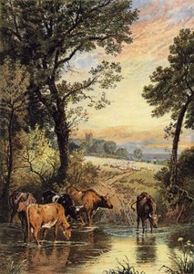 Noche de verano de Myles Birket Foster