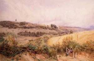 Paisaje de verano cerca de Haslemere, Surrey de Myles Birket Foster