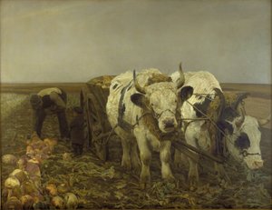 Cosecha de remolacha de N.P. Mols