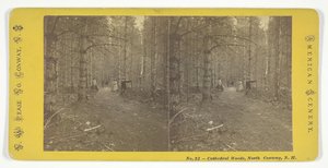 Bosques de la Catedral, North Conway, N.H., mediados del siglo XIX