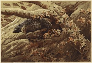 Una guardería ruidosa (litografía) de N. Parker