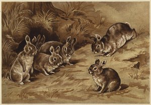 Conejitos (litografía) de N. Parker