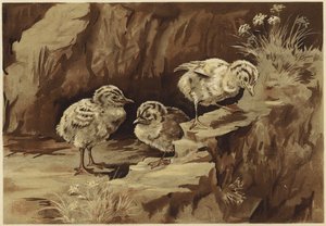 La roca de las gaviotas (litografía)