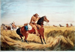  de N. and Ives J.M. (1824-95) Currier