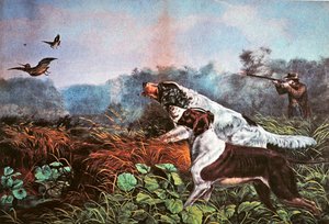 Deportes de campo americanos: Una oportunidad para ambos barriles de Currier and Ives
