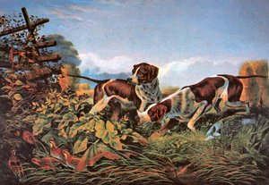 Deportes de campo americanos: En un punto de Currier and Ives