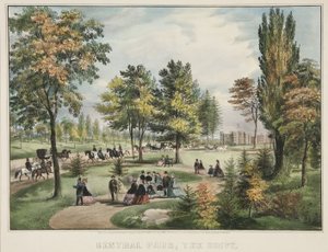Central Park - El paseo