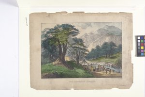 Los cedros del Líbano (litografía coloreada a mano)