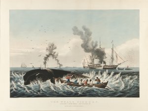 La pesca de la ballena: atacando a un cachalote... y 