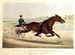 El Rey del Turf, 