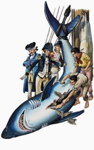 Abrir el estómago de un tiburón (gouache sobre papel) de Nadir Quinto