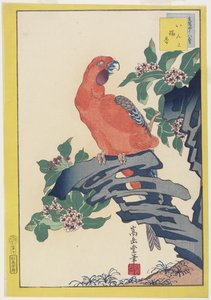 Loro rosa en una roca, 1859