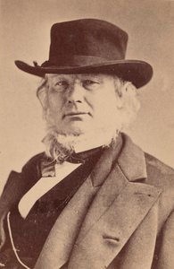Retrato de Horace Greeley 1811-1872, 1869