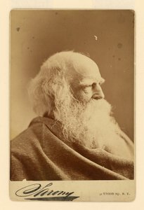 William Cullen Bryant de Napoleon Sarony