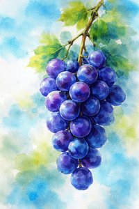 Acuarela de uvas moradas
